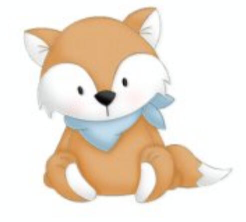 Fuchs Herbstzeit Fuchs Herbstzeit