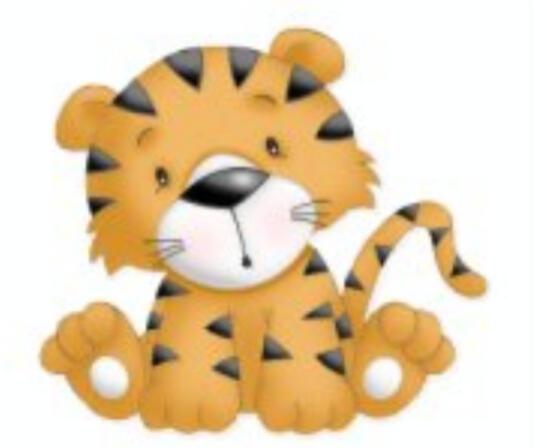 Tiger Tiger