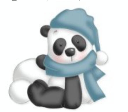 Panda Winter Panda Winter