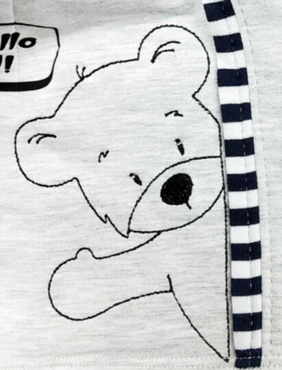 Peekaboo Teddy Outline