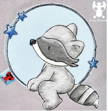 Waschbär Sternchen Waschbär Sternchen