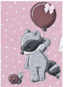 Waschbär Ballon 2 Waschbär Ballon 2