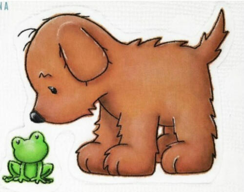 Hund mit Frosch Hund mit Frosch